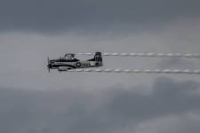 SI202409060985_hires_jpeg_24bit_rgb_3010028903004193921_original_copy_1