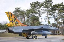 tiger-tail-111_original_copy_1